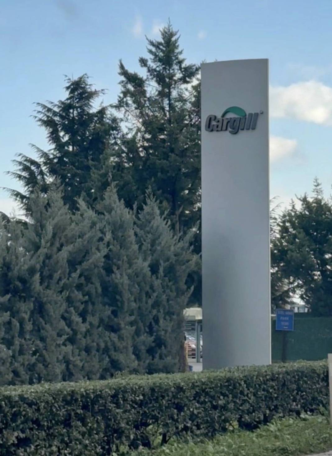 İskeleler havada, tekneler çamurda kaldı: İznik'te çevre felaketi 6